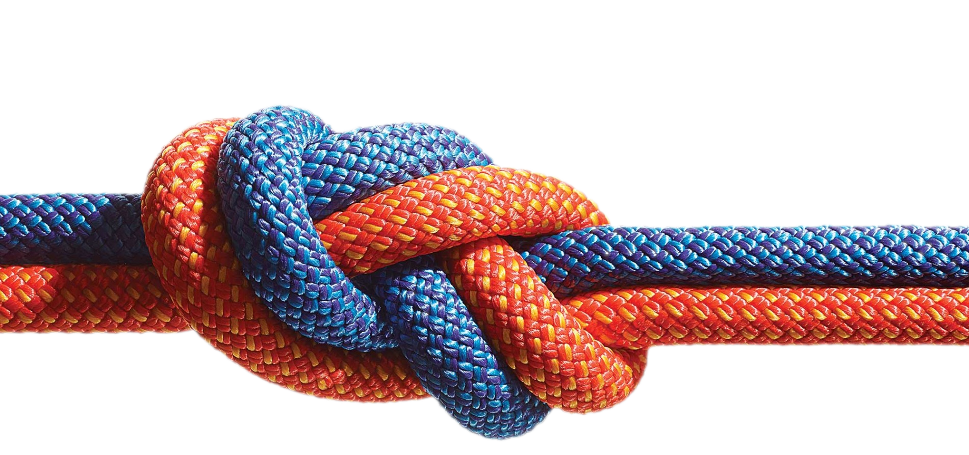 Neuroscience of Trust