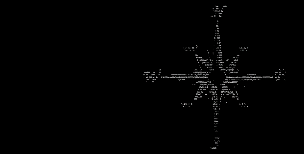 software exploration